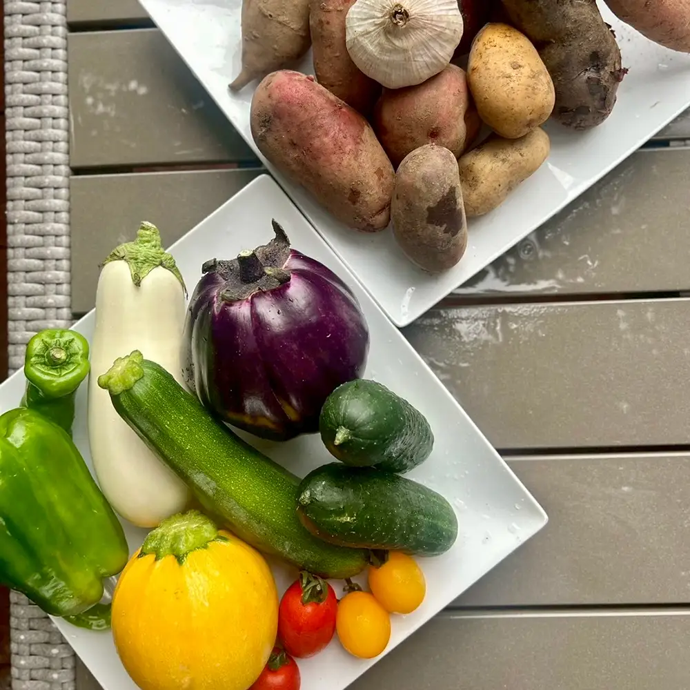 つかさ農園 季節のお野菜詰め合わせ（6～8種） ※北海道・沖縄・離島への配送不可 ※2026年6月中旬～9月下旬頃に順次発送予定