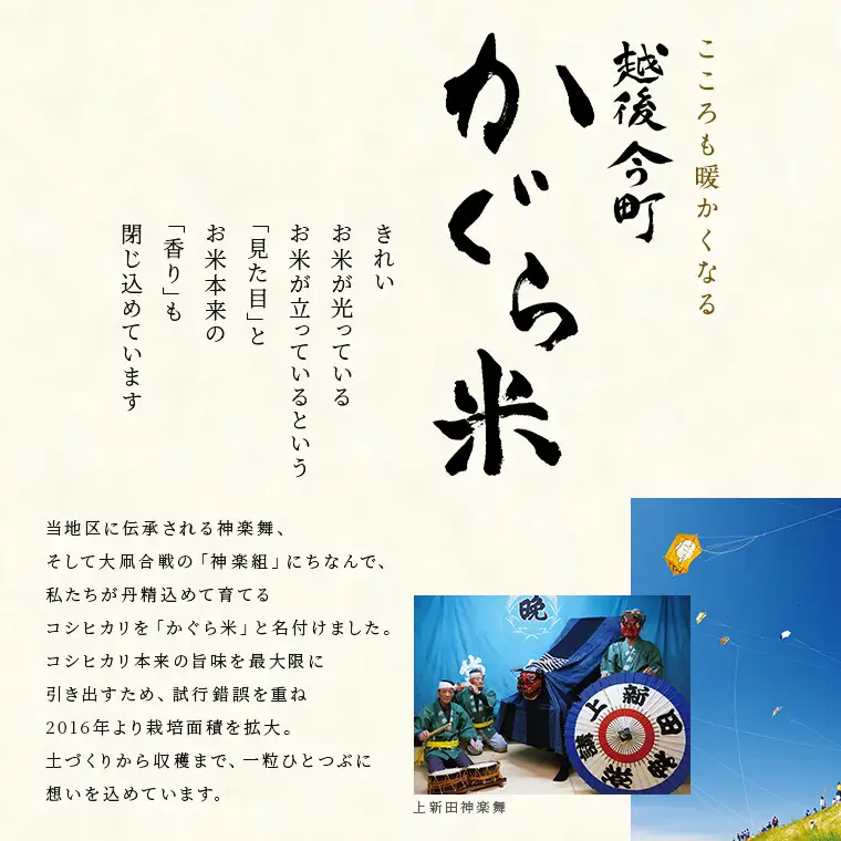 米 令和7年産 特別栽培米 新潟県産コシヒカリ（白米）5kg