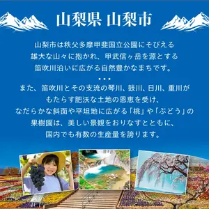 【2026年先行・8月下旬発送】　スイートネクタリン　約2kg(6～12個)【配送不可地域：離島・北海道・沖縄県・中国・四国・九州】【1730946】
