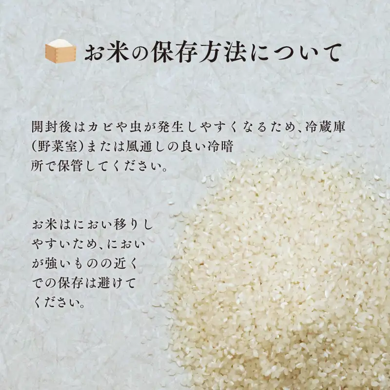 《令和8年度産 先行予約》【数量・期間限定】井野農園のひのひかり 米 ご飯 ごはん おにぎり 新米