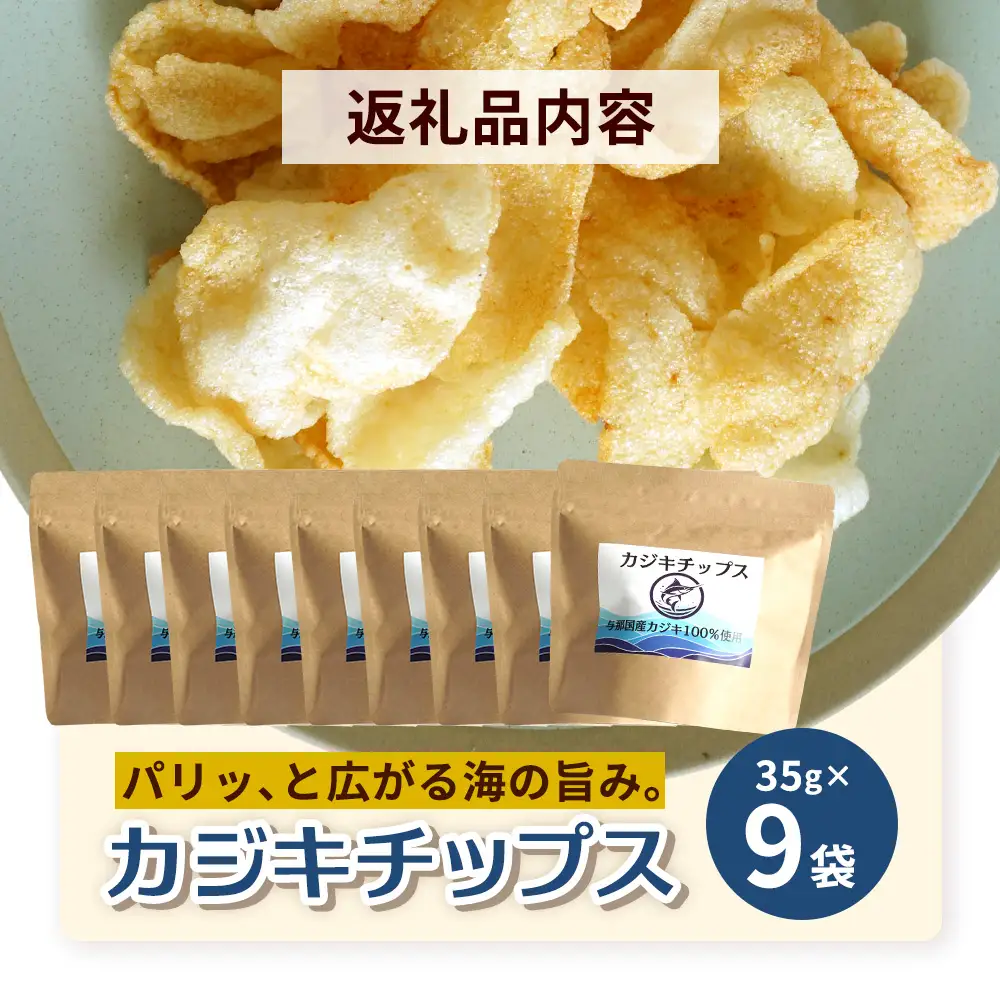 与那国島産 カジキ100%使用 カジキチップス ＜35g×9袋＞ NE-3 │ 沖縄県 与那国町 与那国島 おやつ スナック カジキ 揚げ菓子 セット 贈答 ギフト