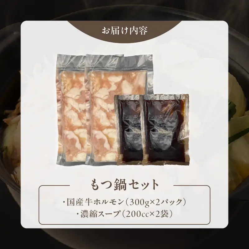 【食肉総合卸 丸正】厳選国産牛のもつ鍋セット（6人前） [153M17] 