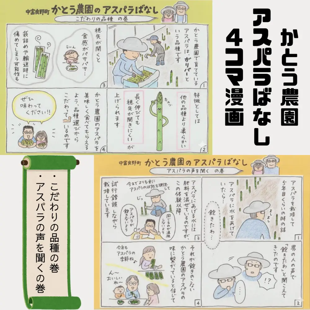【2027年発送】中富良野町かとうさん家のハウスグリーンアスパラガス800g （2Lサイズ）【CK-001】