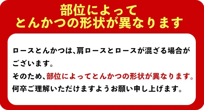 鹿児島県産 豚肉 ロース とんかつ (計2kg・100g×20P) 【株式会社羽根】A1082