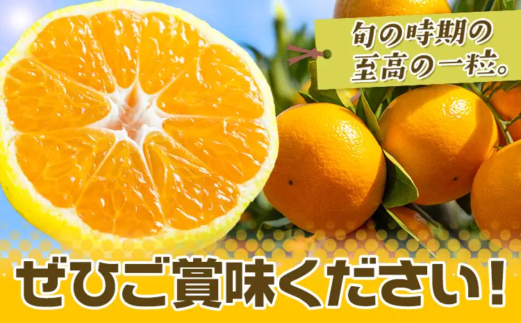 先行予約 赤秀 みかん 旬 柑橘 蜜柑 鶴田農園 約5kg 《9月中旬-1月下旬頃出荷》極早生 早生 中生 晩生 フルーツ 果物 秋 旬 熊本県 荒尾市産 贈答 ギフト オレンジ 人気 おすすめ