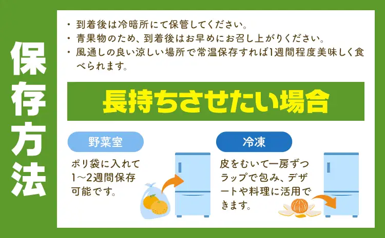 【3か月定期便】 先行予約 赤秀 みかん 旬 柑橘 蜜柑 鶴田農園 約5㎏×3回 《11月上旬-1月下旬頃出荷》極早生 早生 中生 晩生 フルーツ 果物 秋 旬 熊本県 荒尾市産 贈答 ギフト オレンジ 人気 おすすめ