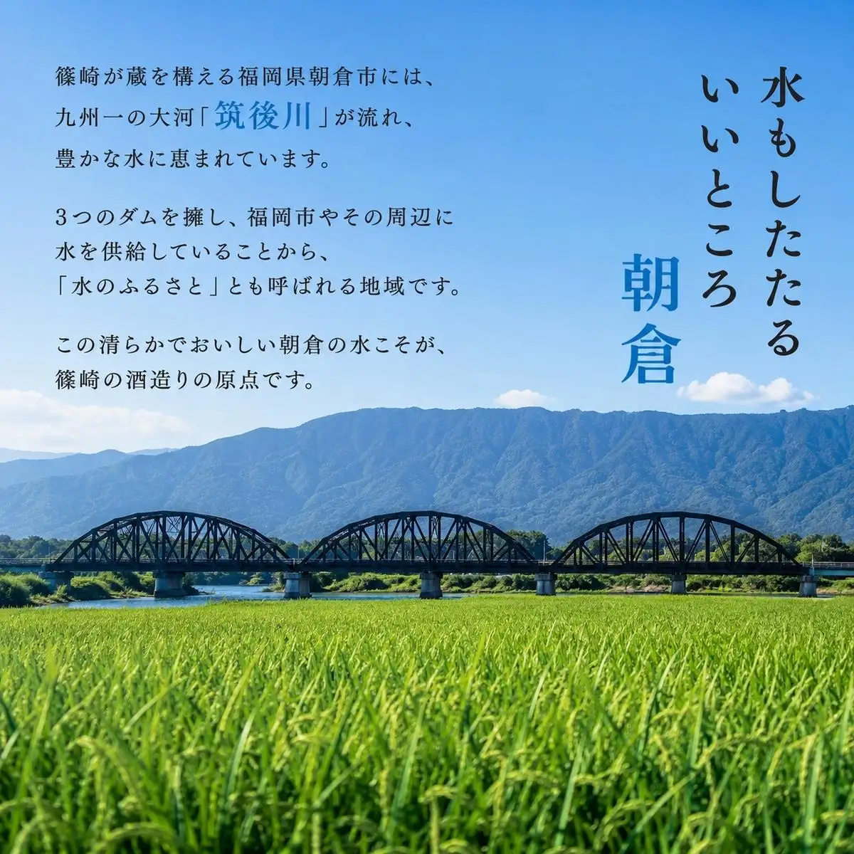 篠崎 朝倉 SAKURA CASK BLENDED 500ml 篠崎