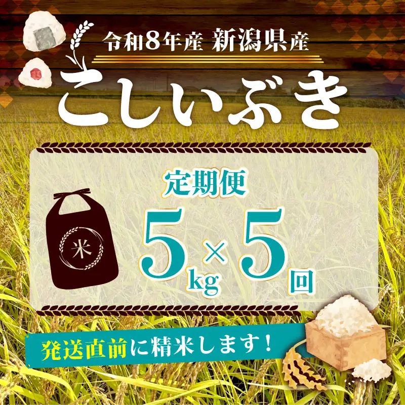 【令和8年産 先行予約】 新潟県産 こしいぶき 5kg 5か月 定期便 新発田産 新潟 ふるさと納税 米 お米 白米 米 お米 こめ コメ ライス ご飯 ごはん 美味しい 贈り物 国産 新潟県 新発田市 お取り寄せ 産地直送 アグリ中俵 nakatawaraKI002_2