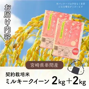 ＜数量限定＞【超早場米】ミルキークイーン 4kg（2kg×2） 令和7年産 契約栽培米_K028-001