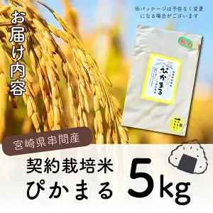 ＜数量限定＞【令和8年産】【超早場米】低アミロース米『 ぴかまる 』5kg_K028-002-R8