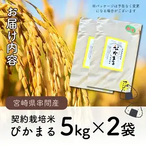 ＜数量限定＞【令和8年産】【超早場米】 低アミロース 米『 ぴかまる 』10kg（5kg×2）_K028-003-R8