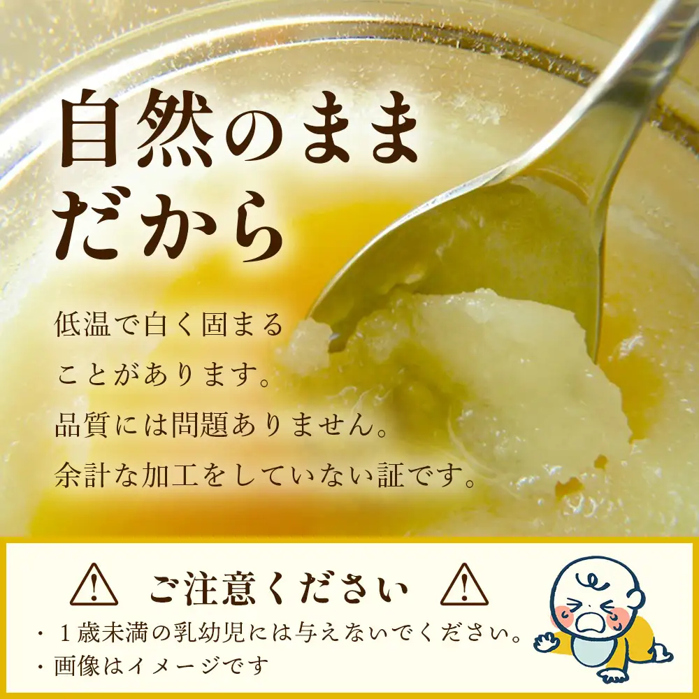 はちみつ 山の蜜 200g×1本 冷蔵｜国産 蜂蜜 百花蜜 ニホンミツバチ 希少 自然養蜂 瓶 もろっこはうす 宮崎県 諸塚村 MO-01