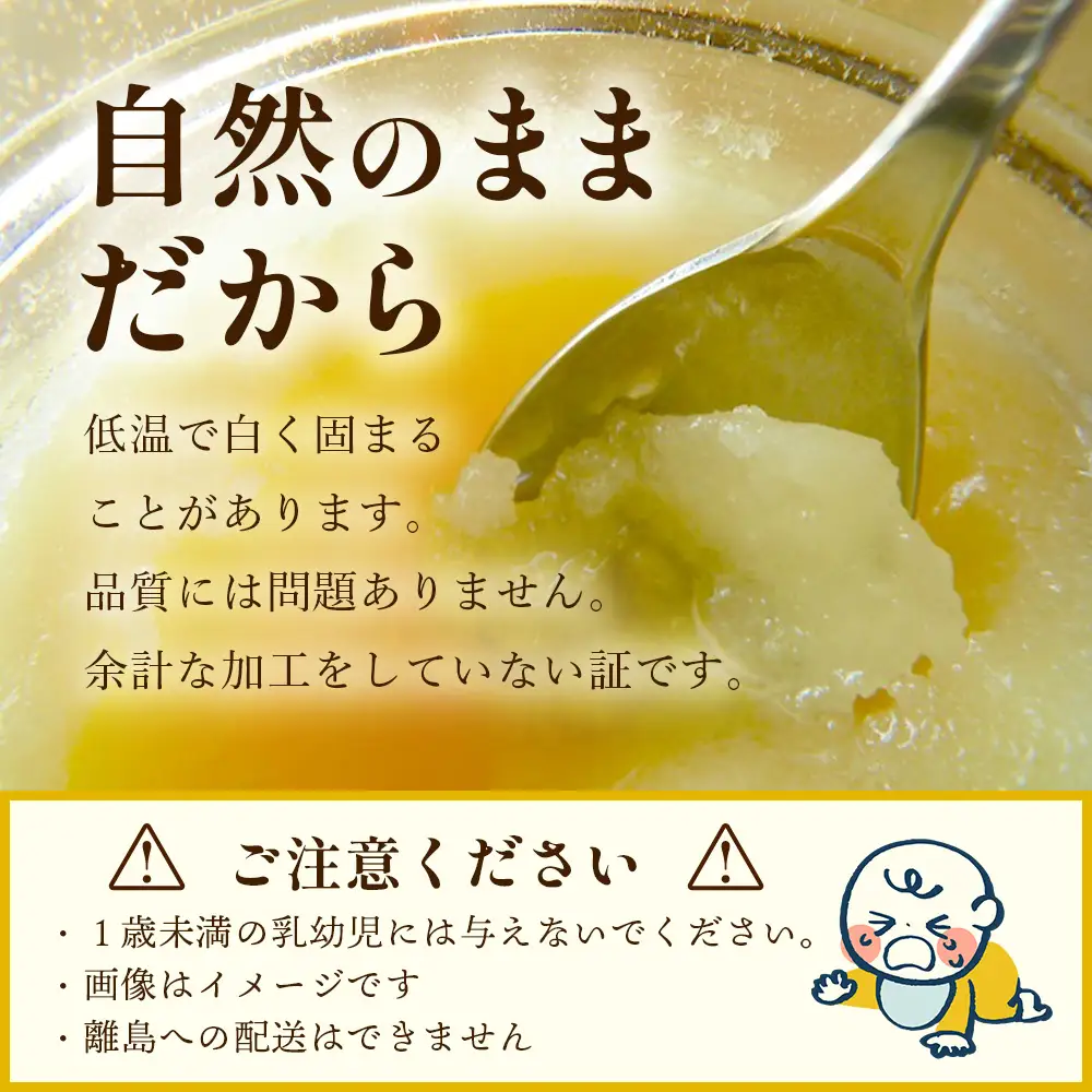 はちみつ 山の蜜 400g×1本 冷蔵｜国産 蜂蜜 百花蜜 ニホンミツバチ 希少 自然養蜂 瓶 もろっこはうす 宮崎県 諸塚村 MO-02