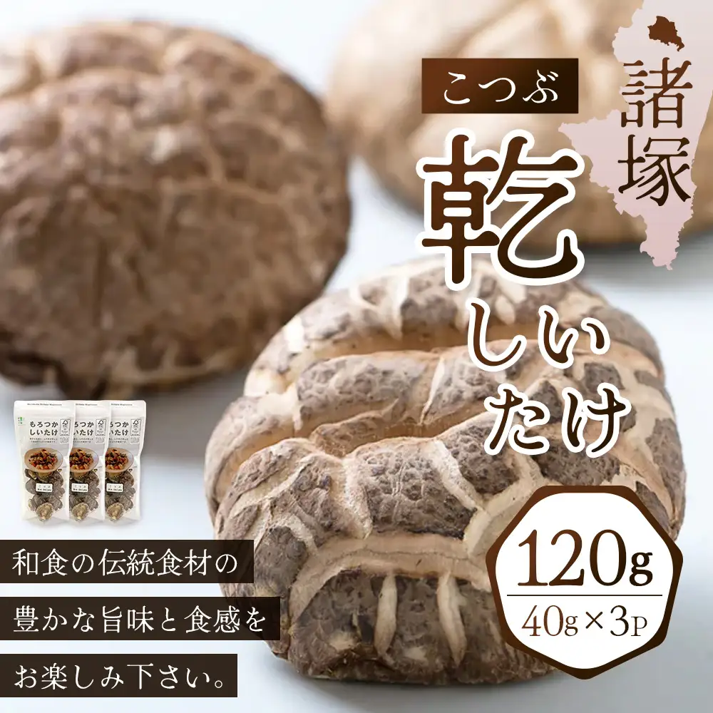 【世界初CoC認証取得！】宮崎県諸塚村産 乾しいたけ こつぶ 40g×3P 計120g 常温｜干ししいたけ どんこ 椎茸 冬菇 一口サイズ 酢漬け 手まり寿司 天ぷら 原木栽培 家庭用 もろっこはうす MO-24