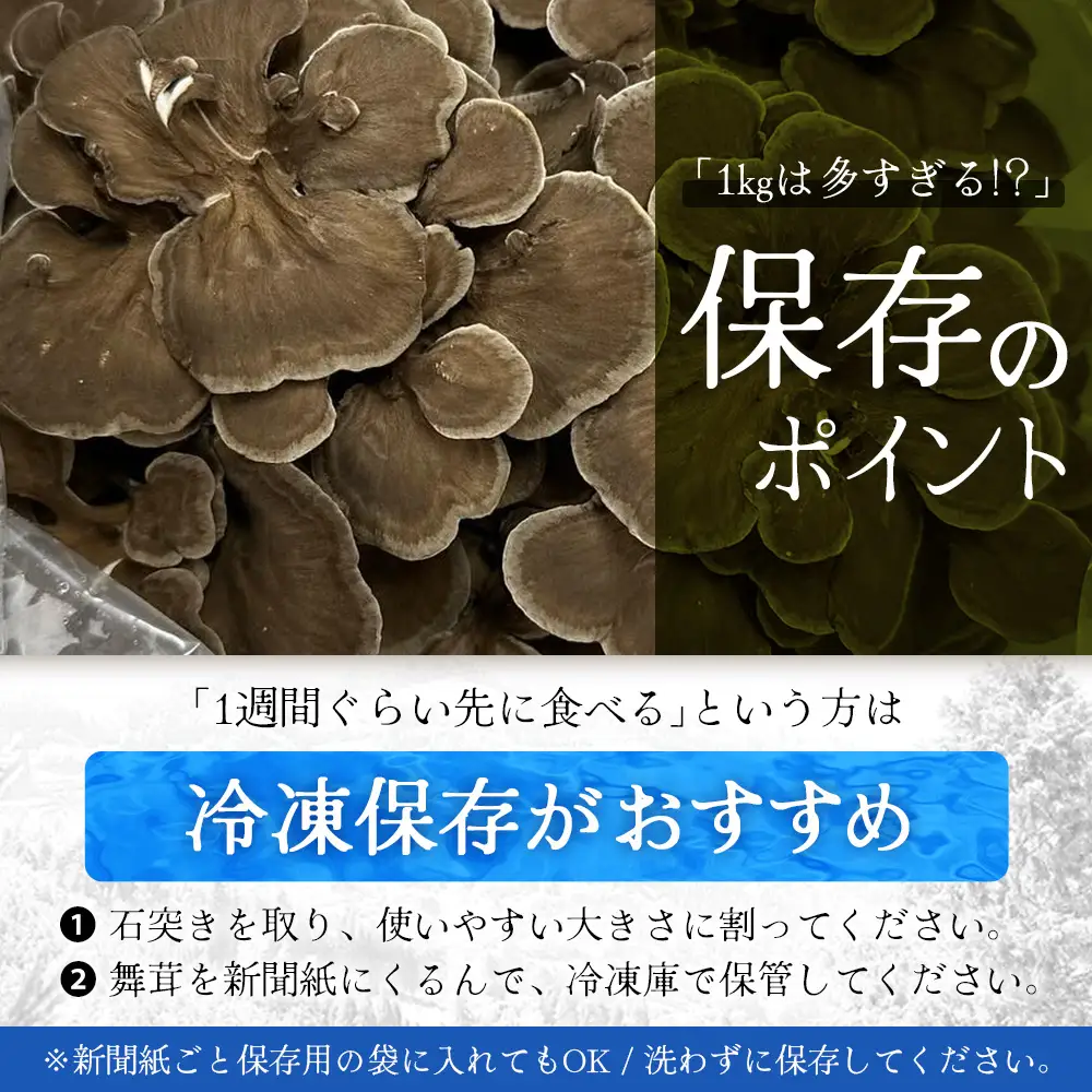 【先行予約】宮崎県諸塚村産 原木舞茸 1kg 数量限定［2026年10月下旬～11月中旬ごろにお届け］冷蔵｜マイタケ きのこ キノコ 原木まいたけ 産地直送 秋の味覚 もろっこはうす 宮崎県 諸塚村 MO-29