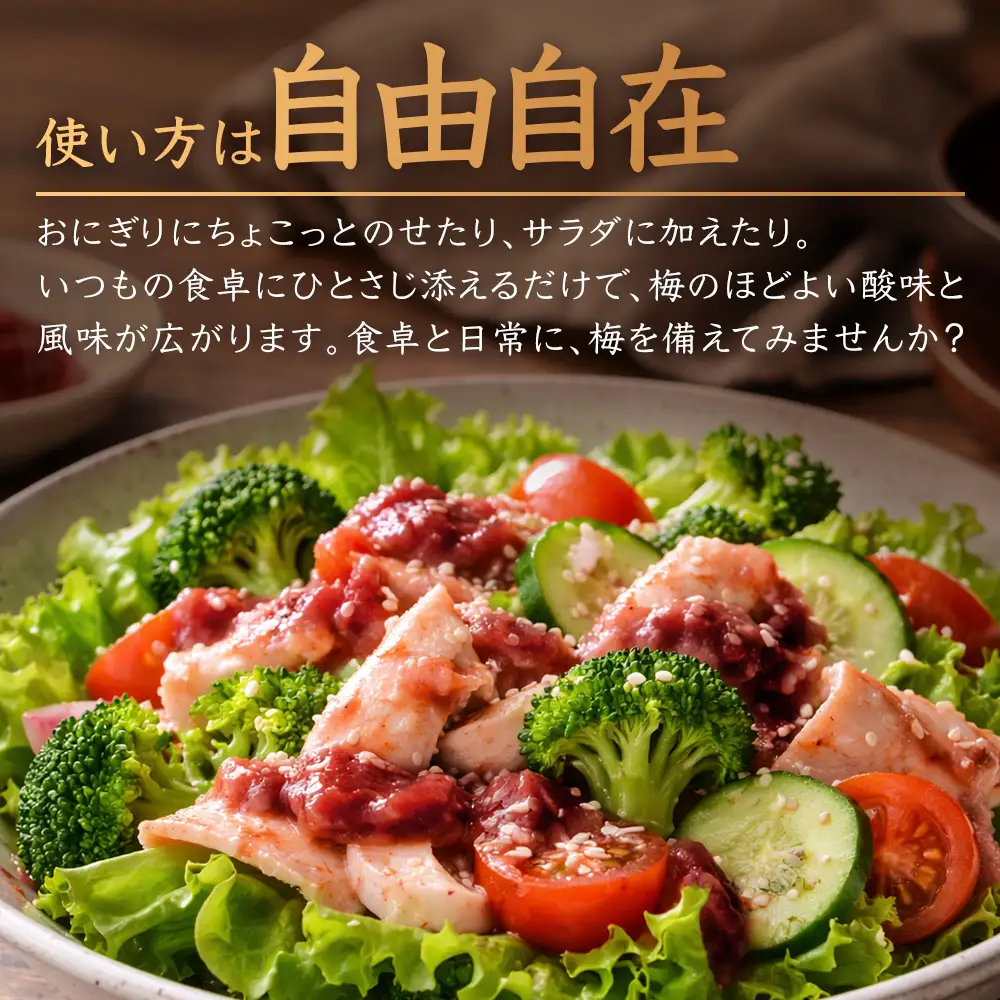 ねり梅 120g×3P パウチ 常温｜ねりうめ 梅 ウメ 梅肉 ペースト シソ 紫蘇 和え物 梅和え 漬物 ごはんのお供 熱中症対策 塩分 加工品 調味料 もろっこはうす 宮崎県 諸塚村 MO-48