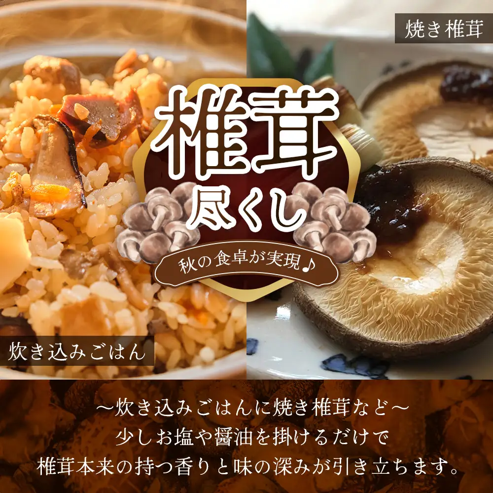 【世界初CoC認証取得！】宮崎県諸塚村産 乾しいたけ どんこ 90g 化粧箱入 常温｜干ししいたけ 椎茸 冬菇 肉厚 お煮しめ お鍋 網焼き 原木栽培 CoC認証 高級 もろっこはうすMO-14