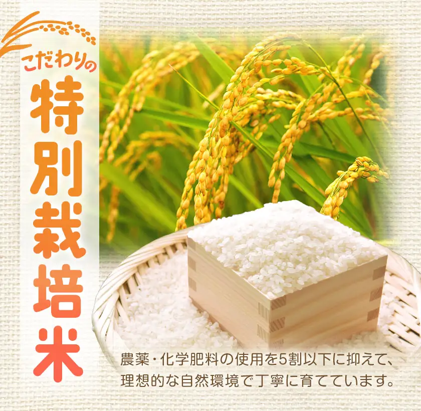 令和7年産 特別栽培米 ゆめぴりか＆ななつぼし 各5kg 計10kg 北海道