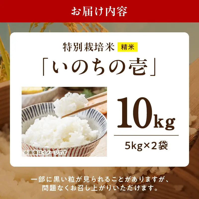 【R8年産新米 先行受付】特別栽培米「いのちの壱」（10kg）＜農家直送＞ 希少米 10kg 米 新米 精米 白米 ご飯 国産 産地直送 甘い 粘り強い もちもち お取り寄せ こだわり米 愛知県 小牧市 送料無料 [208K02]