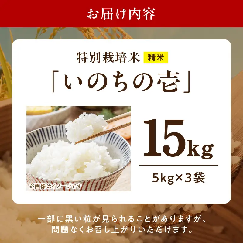 【R8年産新米 先行受付】特別栽培米「いのちの壱」（15kg）＜農家直送＞ 希少米 15kg 米 新米 精米 白米 ご飯 国産 産地直送 甘い 粘り強い もちもち お取り寄せ こだわり米 愛知県 小牧市 送料無料 [208K03]