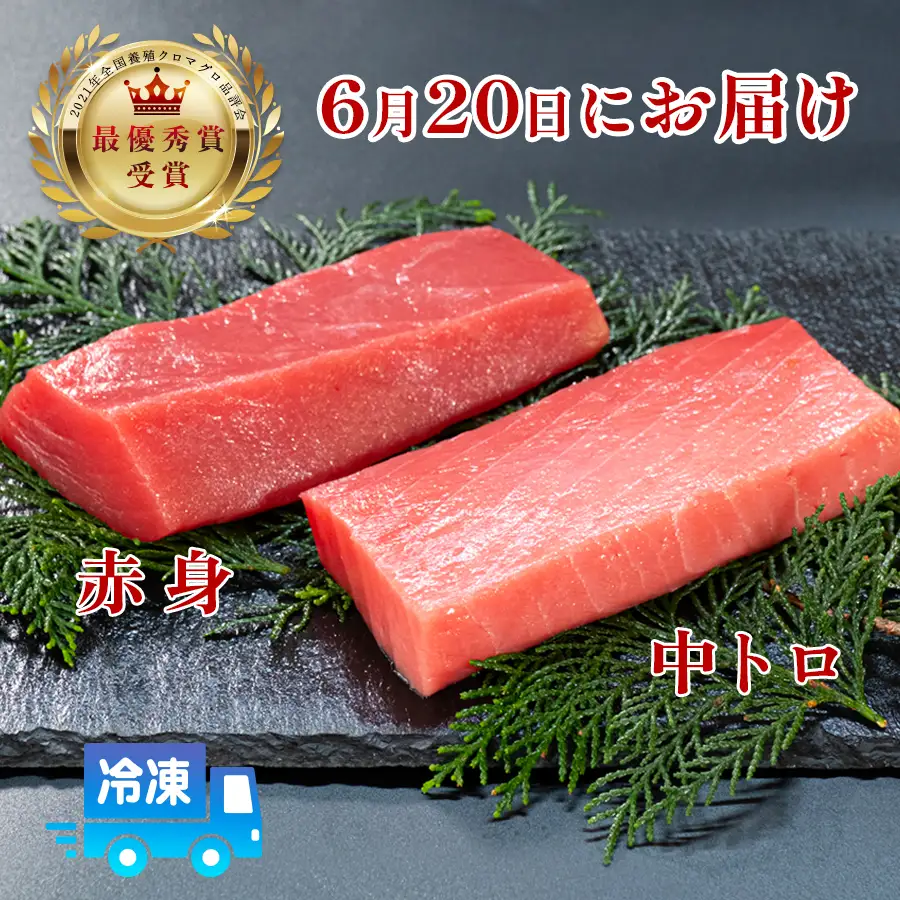 訳あり 不定貫 本マグロ 中トロ･赤身 食べ比べ 日本一 (PT0091_0432)