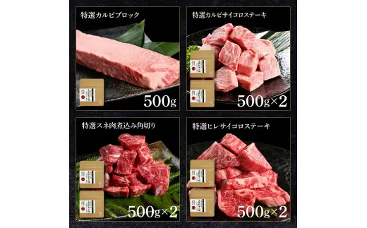 土佐和牛 詰め合わせ8種 Bセット（田野屋銀象完全天日塩付き） 高知県土佐市 【株式会社LATERAL】 [BQAU067]