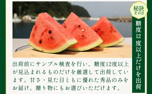 相島すいか