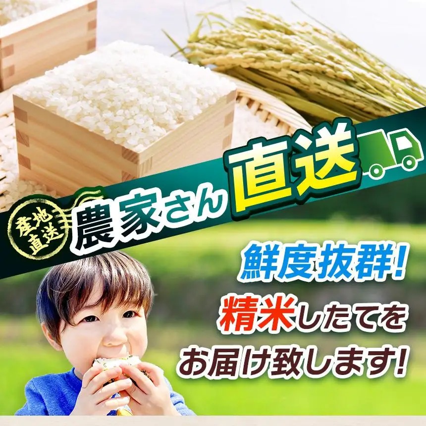 【令和8年産 新米】 【定期便3回】栃木県産 お米 こしひかり　（無洗米） 5kg 【2026年秋以降発送】 |  栃木県 矢板市 【栃木県共通返礼品 真岡市産】