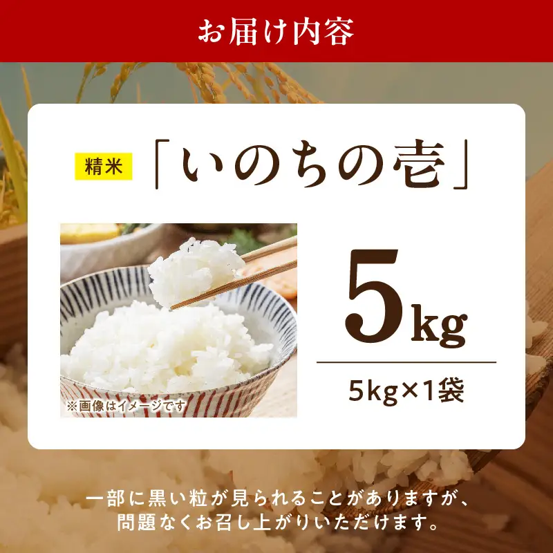 R7年産　「いのちの壱」（5kg）＜農家直送＞ 希少米 5kg 米 精米 白米 ご飯 国産 産地直送 甘い 粘り強い もちもち お取り寄せ こだわり米 愛知県 小牧市 送料無料 [208K09]