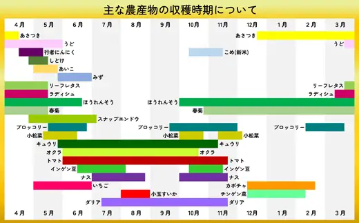 キュウリ 採りたてシャキ旨！36本　90P3211【ひない渡辺農園しどけ村】