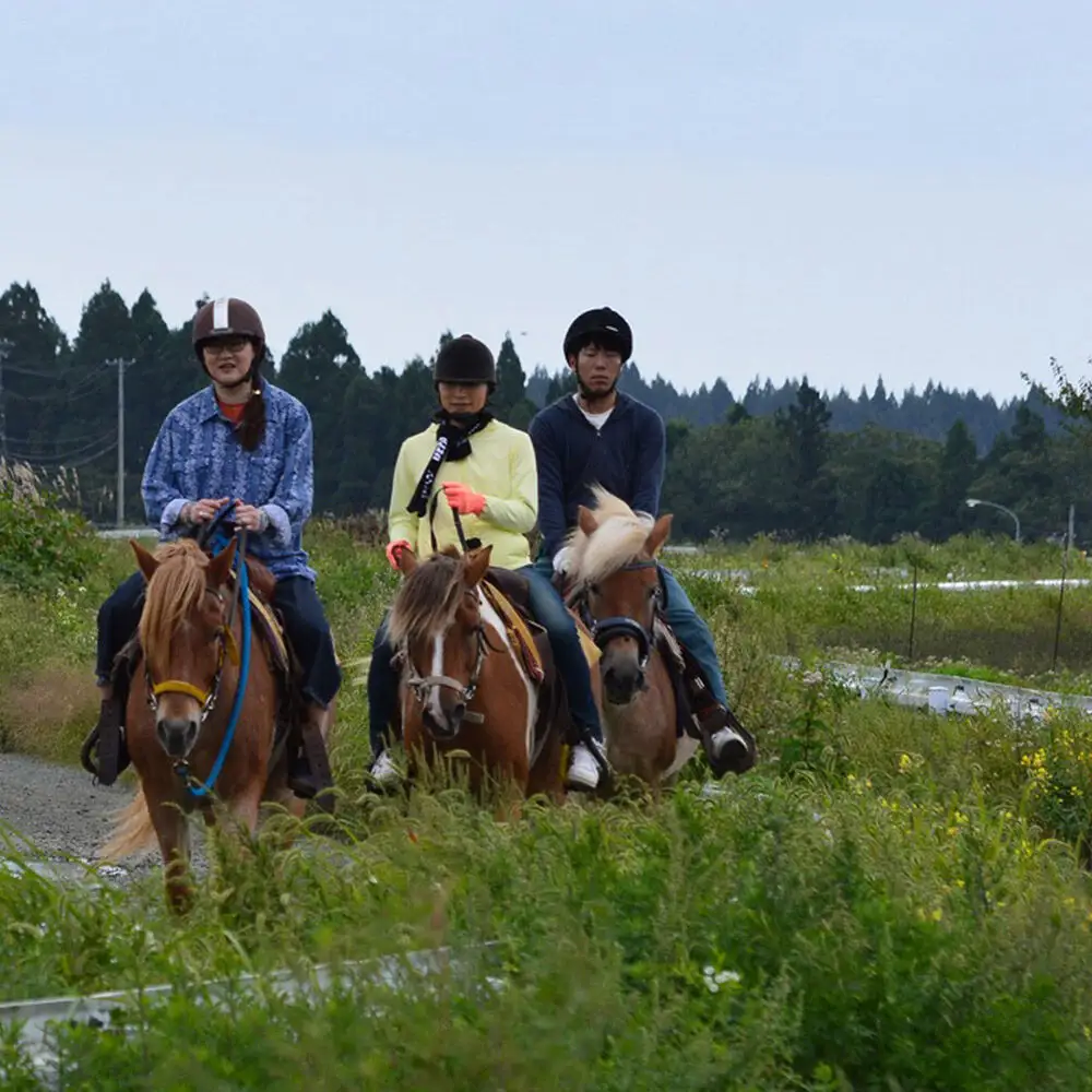 「駒の里」十和田で乗馬トレッキング45分（1名様分） レターパックプラス 青森県十和田市