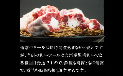 九州産 黒毛和牛テール まるまる1本売り 肉 お肉 にく ニク 冷凍 福岡県 北九州市