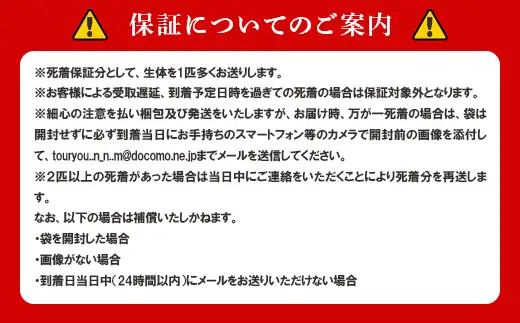 753 改良メダカ 寿ワイドフィン (ことぶきワイドフィン) 2ペア 4匹 観賞用 ペット【トリハタめだか】