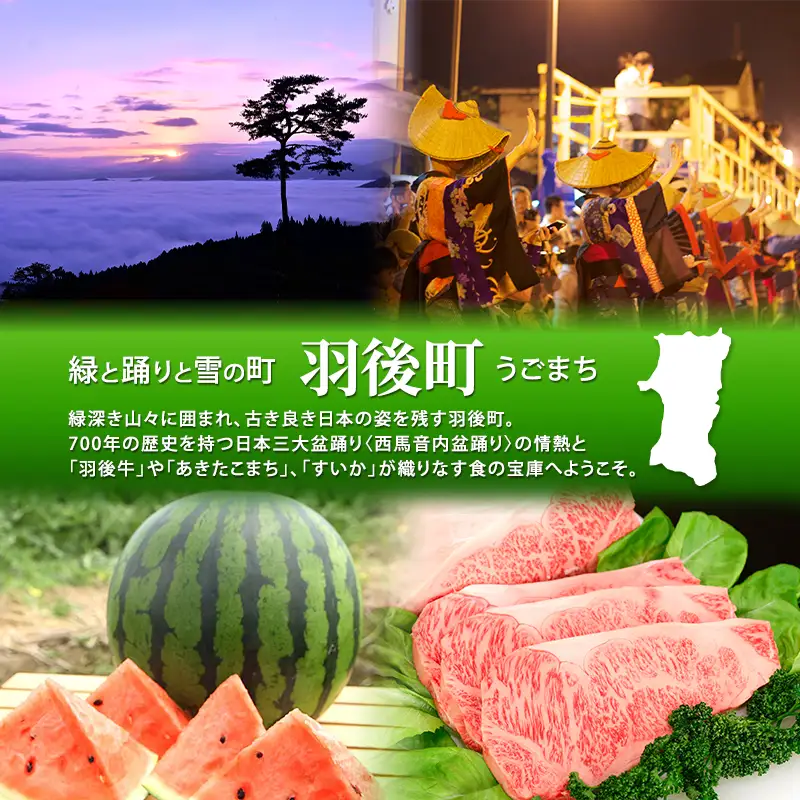 令和8年産 あきたこまち 20kg 秋田 米 あきたこまち