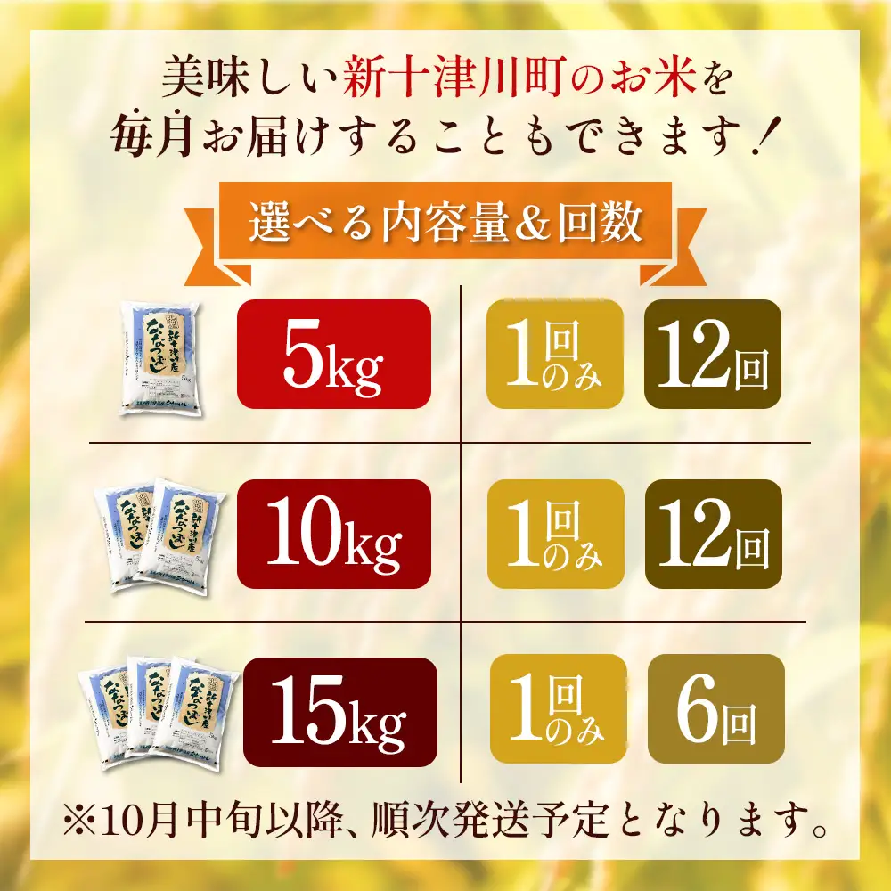 【令和7年度産】ななつぼし精米 食味ランキング「特A」（10kg）【11066】