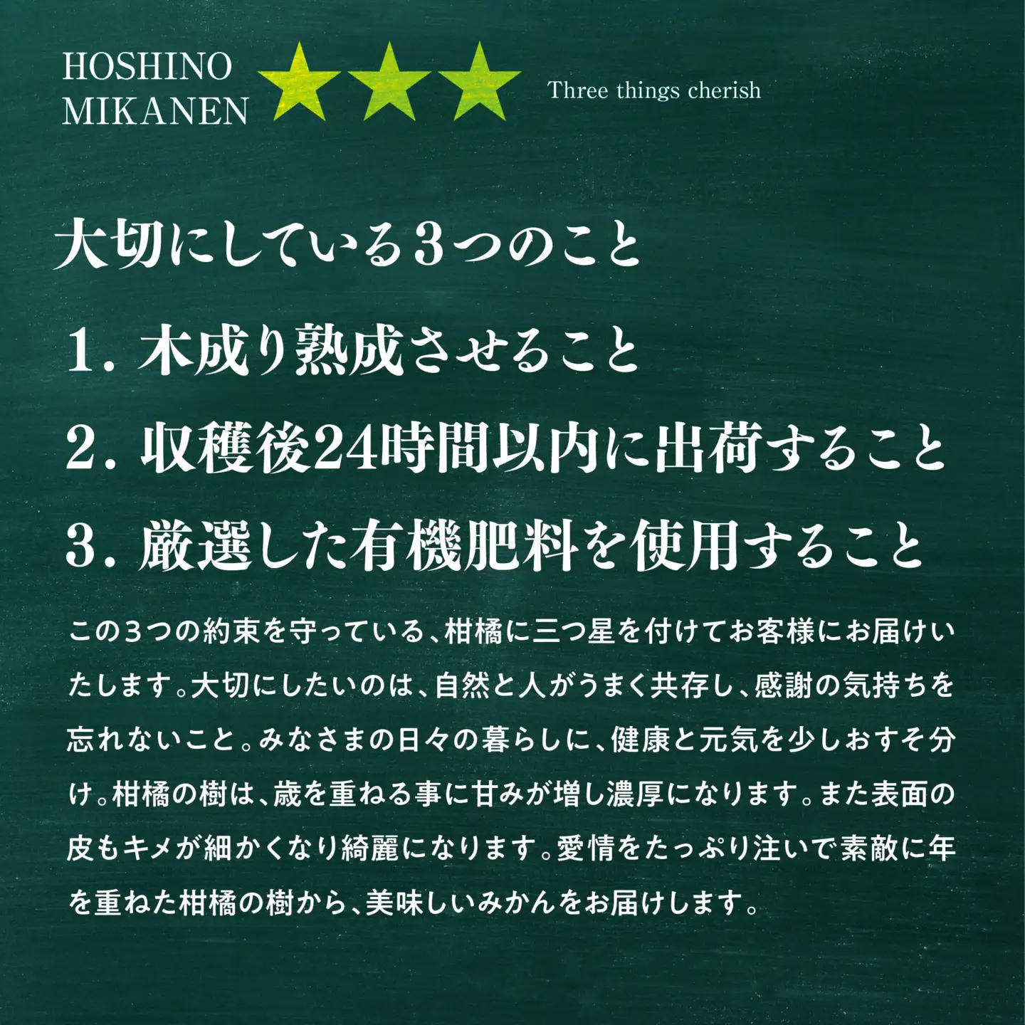 【先行受付】星乃みかん園の星乃甘平(3.5kg)【D45-46】【1339329】 YWTAZ009