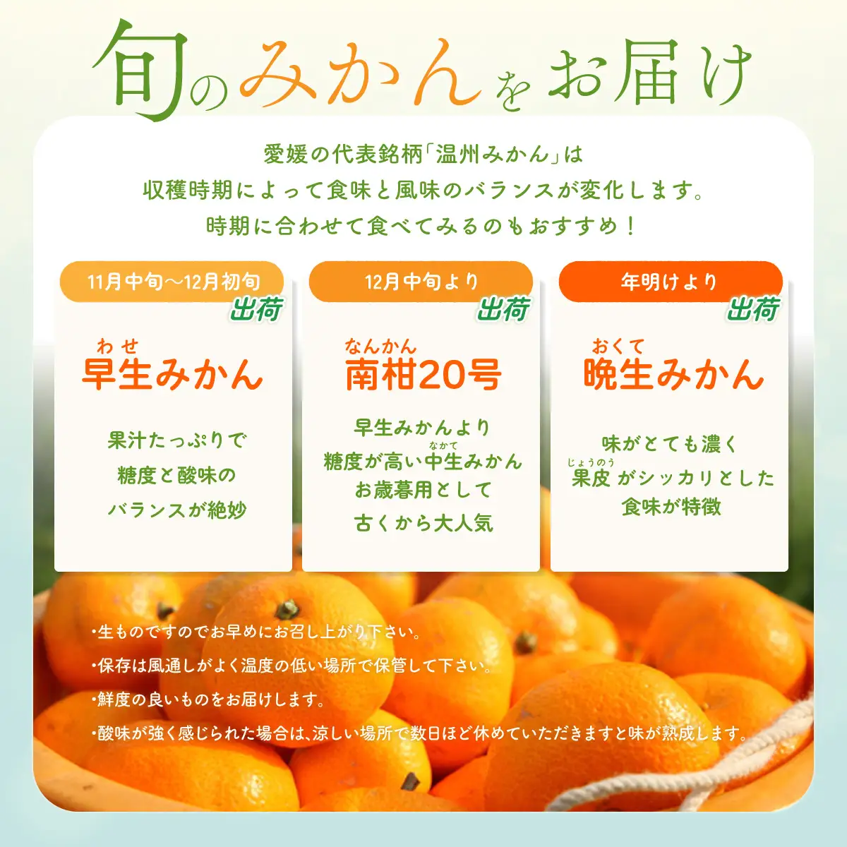【先行受付】小林果園の果汁たっぷり愛媛温州みかん(約7.5kg・3L～Lサイズ)【C24-33】【1519492】 YWTAD024