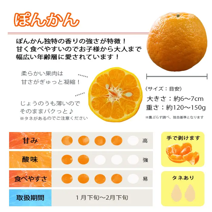 【先行受付】若水の香りきわ立つ「西宇和ポンカン」約4kg【C28-4】【1119725】 YWTN002