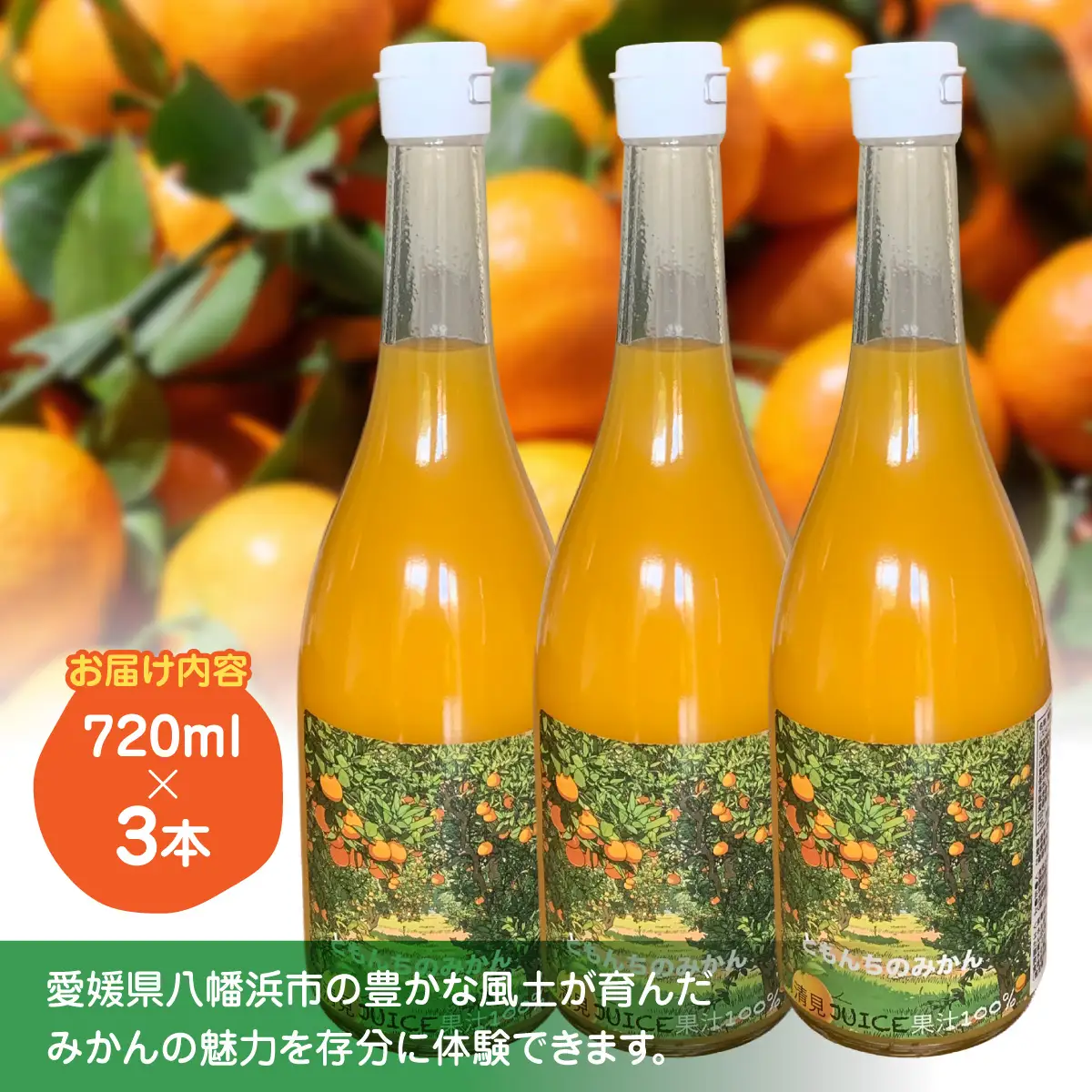 ともんちのみかん清見ジュース 720ml×3本(計2160ml)【D91-1】【1639242】 YWTB001