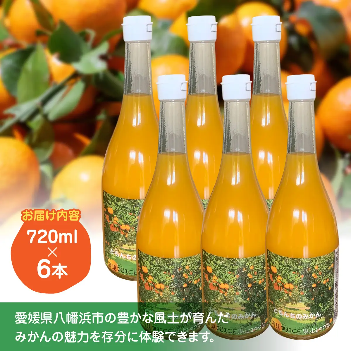 ともんちのみかん清見ジュース 720ml×6本【G91-2】【1639444】 YWTB002