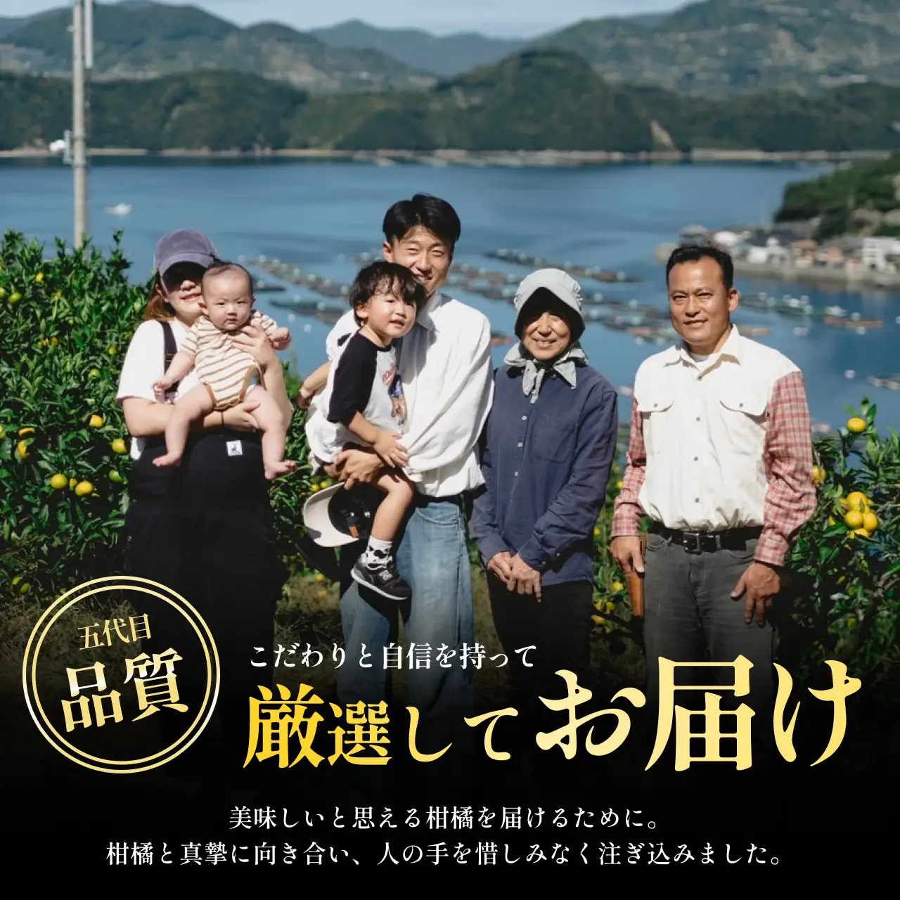 【先行受付】訳ありだけど美味しさそのまま【まどんな 5.5kg】【訳あり】紅まどんなと同品種【F70-141】【1688017】 YWTK140