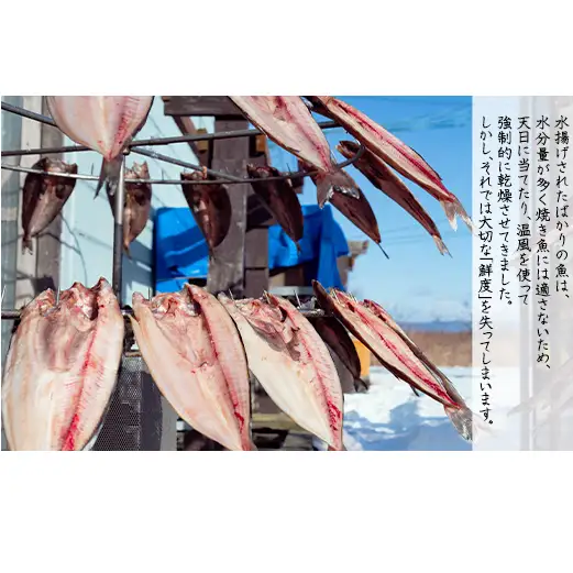 【定期便】 計6回 軽石干し北海道産ホッケ 2尾