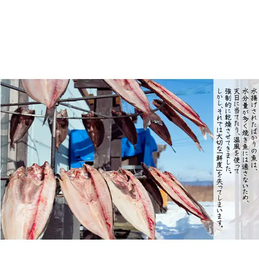 【定期便】 計3回 軽石干し北海道産ホッケ 2尾