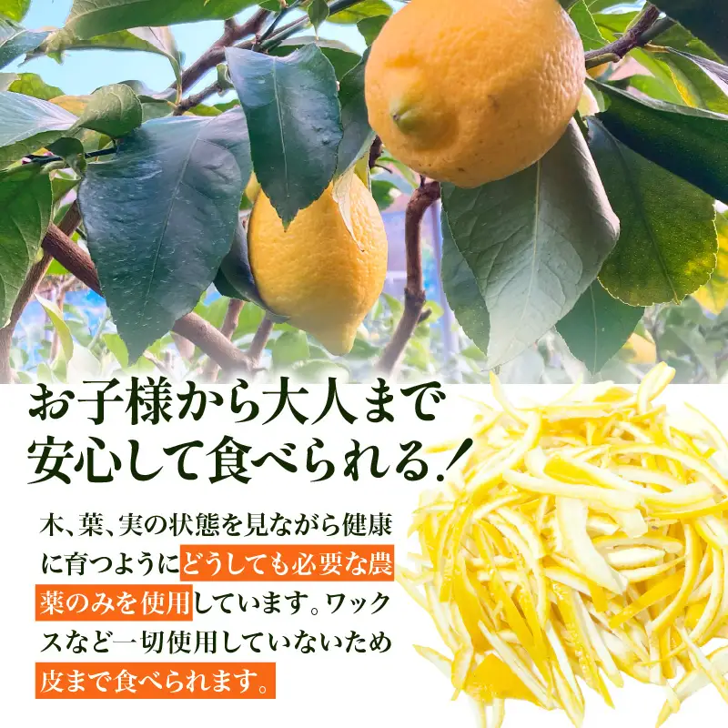 【先行受付】【2027年1月上旬～発送】加工品用レモン 3kg　ku212-003-26