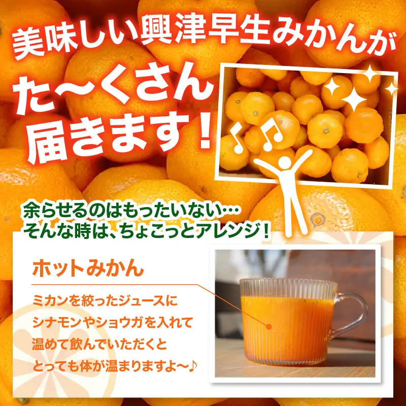 【先行受付】【2026年11月上旬～発送】甘さと酸味が丁度いい！濃厚興津早生みかん5kg 秀品(M〜L：約40個）　ku212-005-26