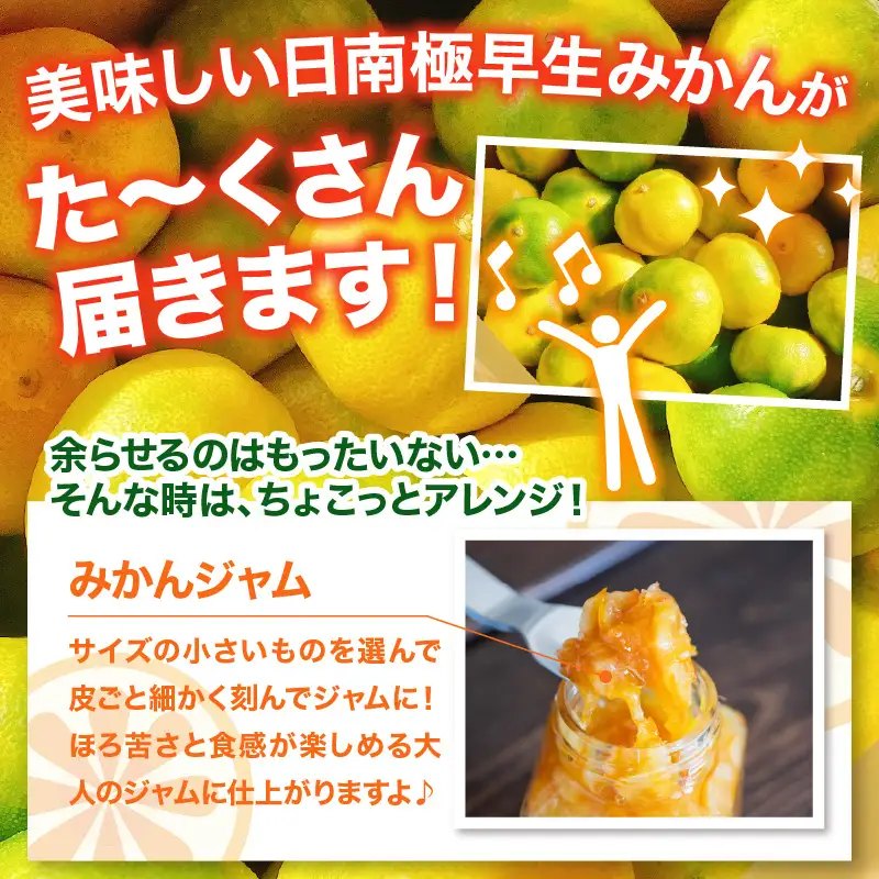 【先行受付】【2026年10月上旬～発送】さっぱり日南極早生みかん 秀品 5kg(M～L 約40個) ku212-007-26