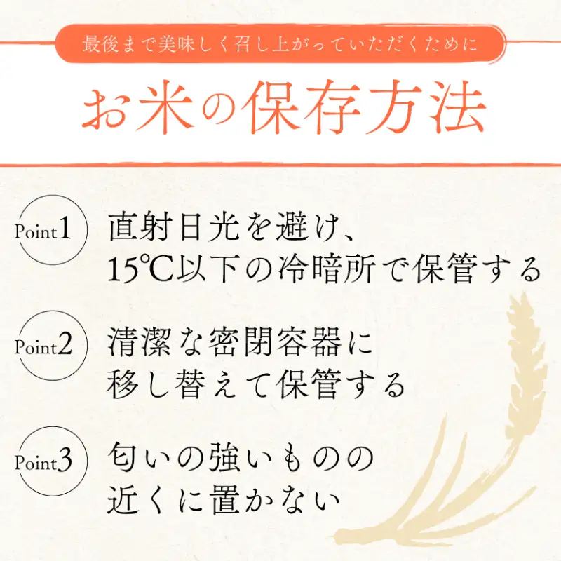 【先行予約】 みずかがみ 新米 新米 5kg 令和8年度産
