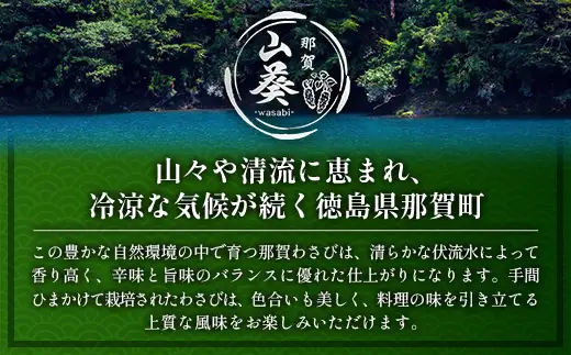 那賀わさび (正緑) 約200ｇ 2～4本 【徳島県 那賀町 生産者直送 産地直送 本わさび わさび ワサビ 生わさび 山葵 野菜 香味野菜 国産 正緑 薬味 調味料 万能 新鮮】FN-02