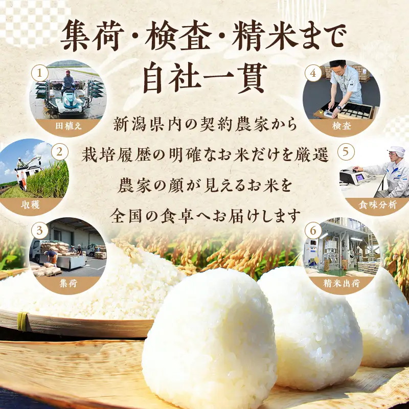 【最短3日配送】新潟県産 品種おまかせ 2kg 新潟県 新潟市産 令和7年産 お米 精米 米 ご飯 送料無料