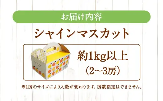 【ふるなびWEEK対象】シャインマスカット 約1kg （2～3房） 【2026年8月上旬～下旬発送予定】 ぶどう 果樹園 香り くだもの 果物 果実 フルーツ 葡萄 ブドウ マスカット 果汁 甘み 酸味
